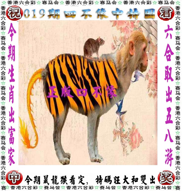 03448.com�������������С���