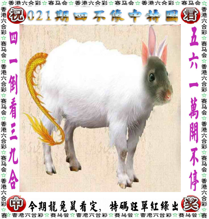 03448.com�������������С���