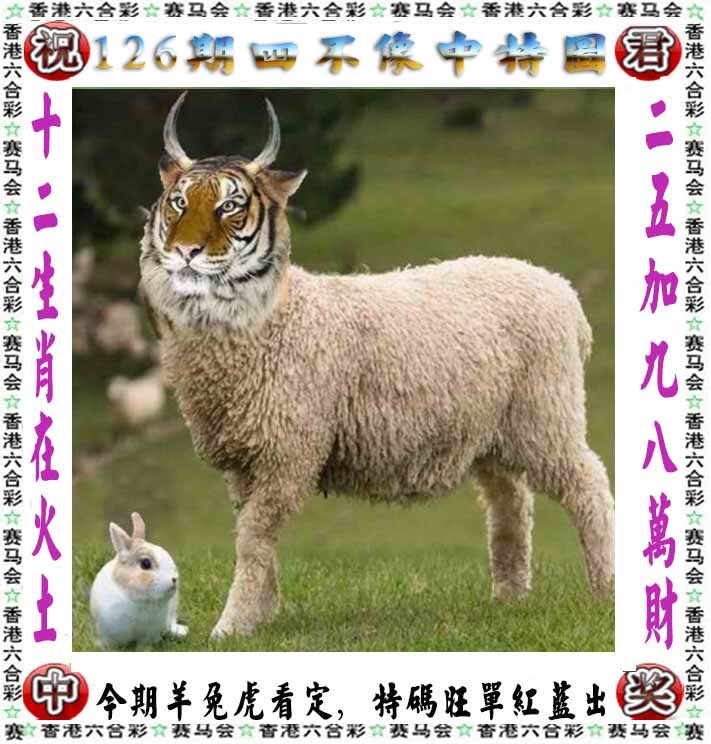 03448.com�������������С���